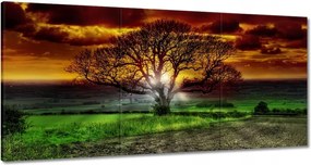 Vászonkép 120x60 Varázslatos fa tájkép