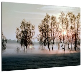 Kép - reggeli szárazság (70x50 cm)