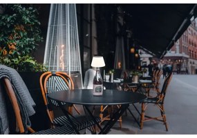 Globo 36000 - LED Napelemes palack lámpabúra 10xLED/1,5W/3V IP44