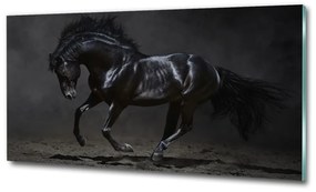 Üvegkép Fekete ló osh-47712826