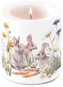 Húsvéti nyuszis gyertya Carrot treat