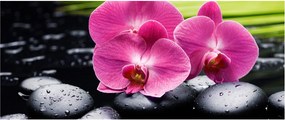 Kép - Rózsaszín orchidea pálmalevéllel (120x50 cm)