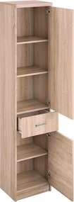 Polcos szekrény 2D1S, sonoma tölgy, univerzális, TOPTY TYP 31