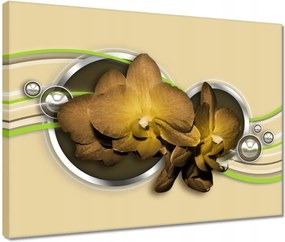 Vászonkép 40x30 Tea leander