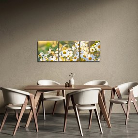Kép - Százszorszépek (órával) (90x30 cm)