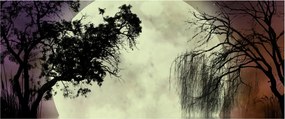 Kép - Telihold a felszín felett (120x50 cm)