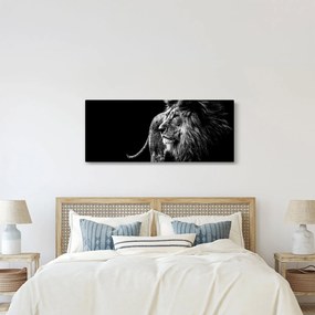 Kép - Oroszlán, fekete-fehér (120x50 cm)