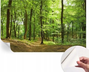 Öntapadós tapéta Divatos 3D fali ragasztóval Természetes ösvény 416x254 cm