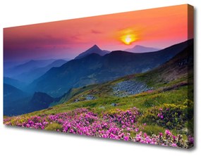 Vászonkép Mountain Meadow Virág Tájkép 140x70 cm
