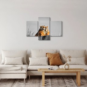 Kép - Tigris és a kölyke, fekete-fehér változat (90x60 cm)