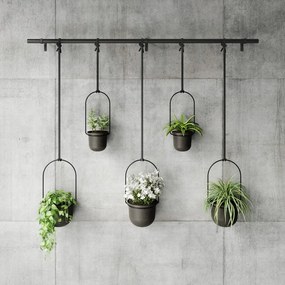 Műanyag kaspó szett 5 db-os fűszernövényekhez -függő ø 7,5 cm Triflora – Umbra