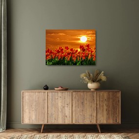 Kép egy virágzó mező tulipánokkal (üvegen) (70x50 cm)