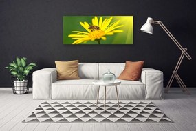 Vászonkép falra Bee Virág Természet 100x50 cm