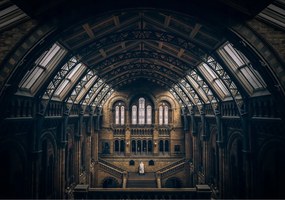 Fotótapéta Gótikus London Múzeum Ólomüveg Perspektíva Interier 416x290 +ragasztó