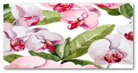 Akril üveg kép Rózsaszín orchideák oah-98952398