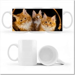 Fotó bögre Csodaszép vörös cicák