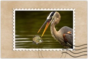 Poszterek 60x40 Kalapos madár Tájkép Kilátás