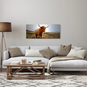 Egy skót tehén képe (120x50 cm)