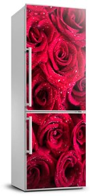 Hűtő matrica Vörös rózsák FridgeStick-70x190-f-122317792