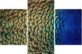 Kép - Pávatollak (90x60 cm)