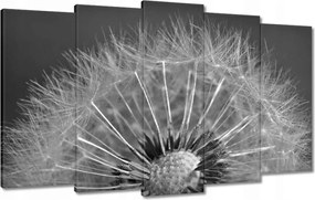 Vászonkép 100x60 Pitypang Virág Virágok