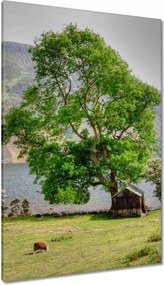 Vászonkép 80x120 Erős fa