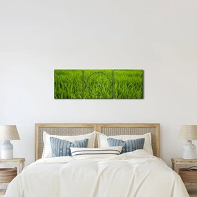 A fű képe (órával) (90x30 cm)