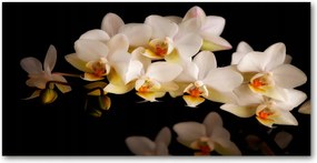 Fotó vászonkép edzett üveg Orchidea 140x70