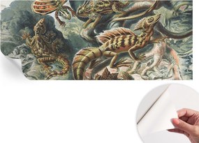 Öntapadós fali fotótapéta Hálószobába Egzotikus hüllők 250x104 cm