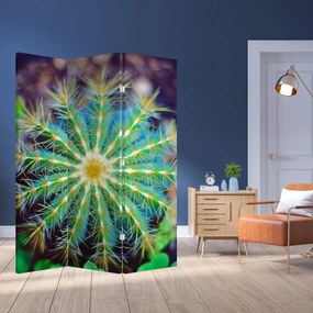 Paraván - Kaktusz (126x170 cm)
