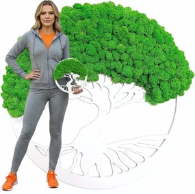 Mohafa Kép élő moha Stabilizált Bonsai Dekoráció