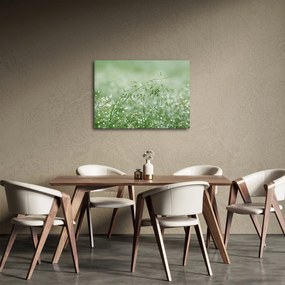 Kép - Harmat a fűben (70x50 cm)