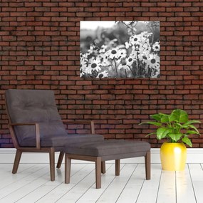 Kép - Százszorszépek (70x50 cm)
