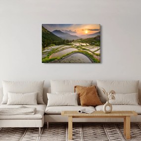 Kép - Rizsteraszok (90x60 cm)
