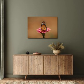 Pillangó képe a virágon (70x50 cm)