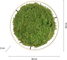 Paul Neuhaus modern skandináv mennyezeti lámpa green ritus zöld pln15392-66