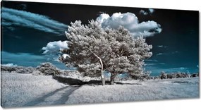 Festmények 115x55 Fa