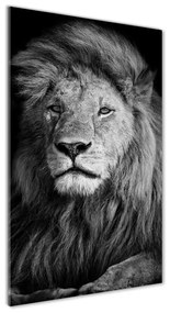 Üvegkép Portré egy oroszlán osv-102854237
