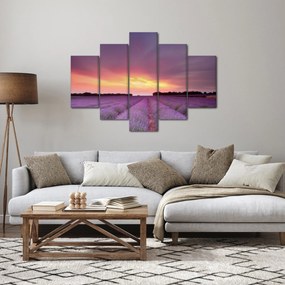 Kép - Levendula mező (150x105 cm)