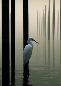 Poszter 64x90cm Köd a vízen