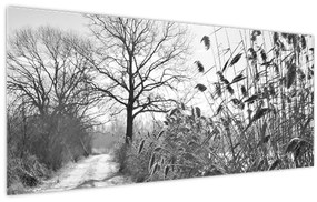 Kép - Mezők télen (120x50 cm)