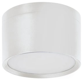 KANLUX 35678 TIBERI PRO Modern Kültéri Mennyezeti Lámpa E27 IP44