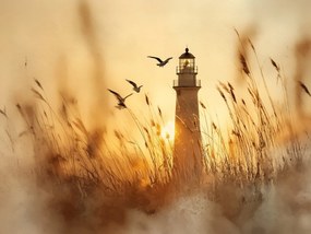 Canvas Vászonkép Világítótorony Naplemente Sirályok 80 x 60