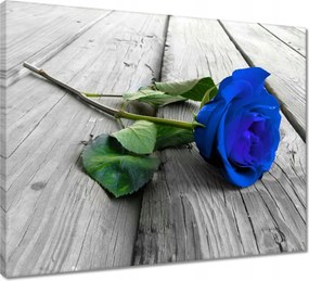 Vászonkép 50x40 Kék rózsa a deszkákon
