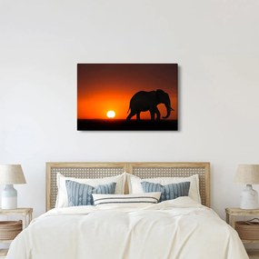 Elefánt képe naplementekor (90x60 cm)