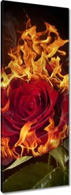 Vászonkép 40x100 Vörös lángoló rózsa