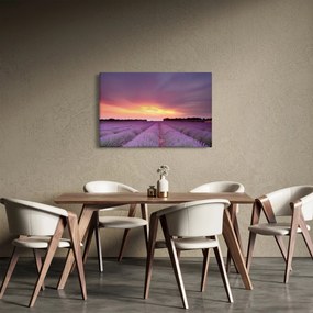 Kép - Levendula mező (90x60 cm)