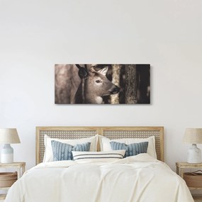Kép - Szarvas az erdőben (120x50 cm)