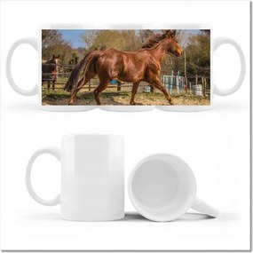 Fényképes bögre Ló Lovak Lovaglás