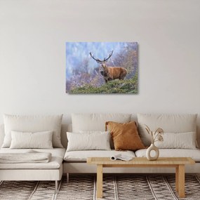 Üveg kép - Szarvasok a tájban (70x50 cm)
